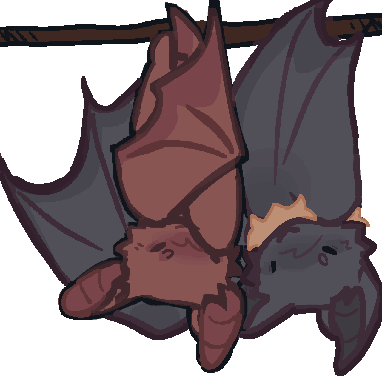 a brown bat and a black bat hanging upside down on a branch.